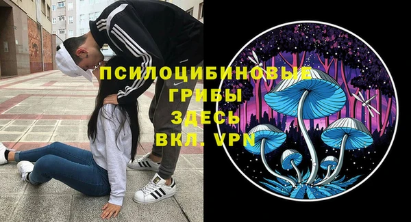 дурь Богородицк