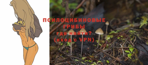 дурь Богородицк