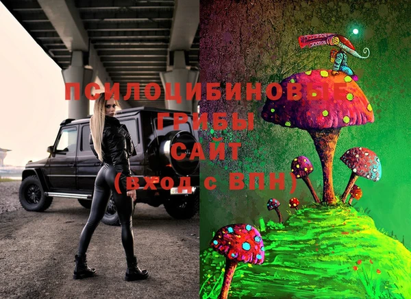 Альфа ПВП Богданович